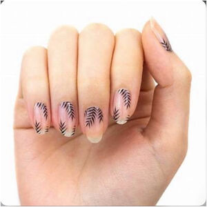 Palm before the Storm Color Street Nail Polish Strips. New in package